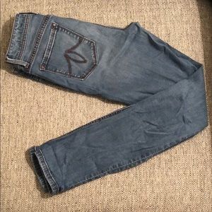 Level 99 Tanya High Rise Skinny Jean (size 28)